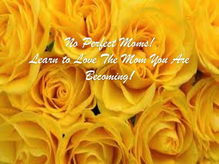 No Perfect Moms